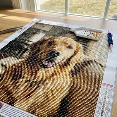 Diamond painting van een golden retriever